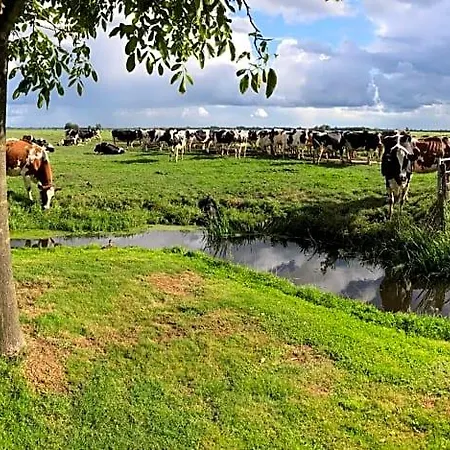 ベッド・アンド・ブレックファスト Slapen Op Het Platteland ボーデグラヴェン