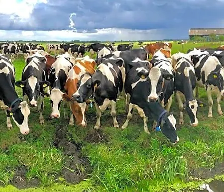 Slapen Op Het Platteland ベッド・アンド・ブレックファスト