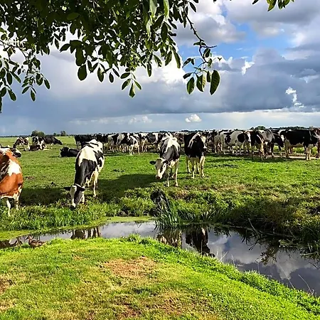 Slapen Op Het Platteland ベッド・アンド・ブレックファスト