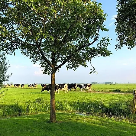 Slapen Op Het Platteland ベッド・アンド・ブレックファスト ボーデグラヴェン