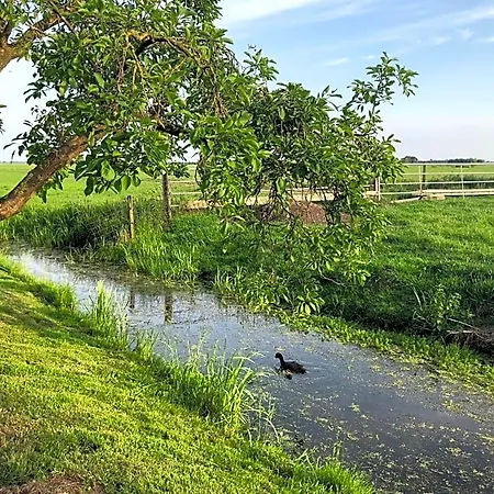 Slapen Op Het Platteland