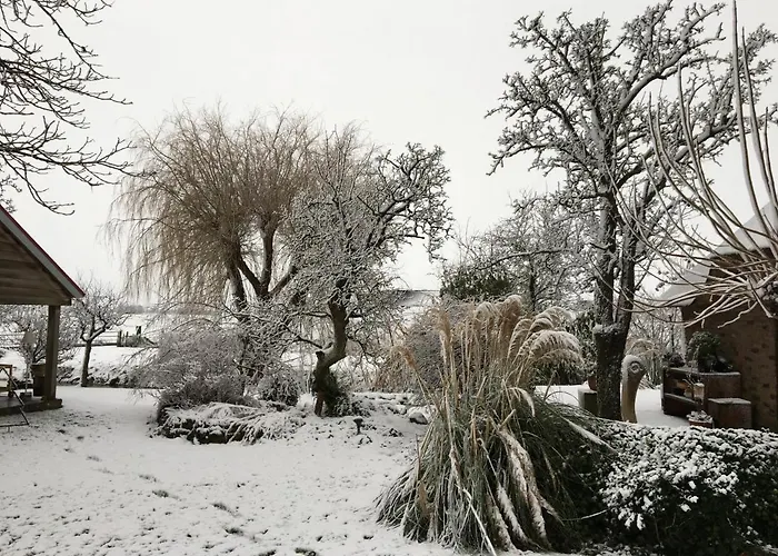 Bed and breakfast Slapen Op Het Platteland 3*