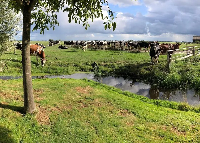 Slapen Op Het Platteland Bodegraven