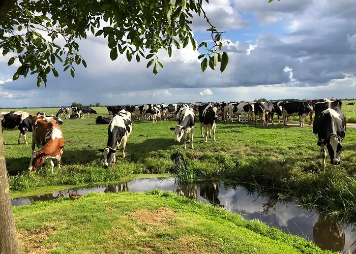 Slapen Op Het Platteland 3*