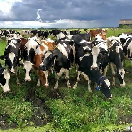 Slapen Op Het Platteland 3*
