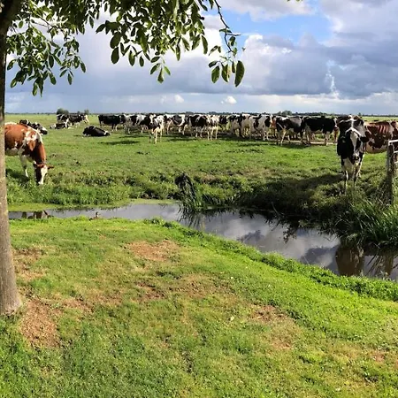Slapen Op Het Platteland Bodegraven