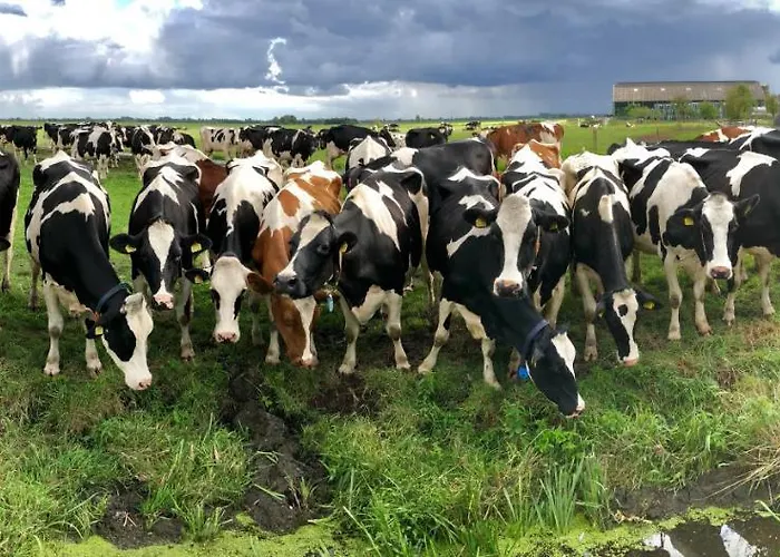 Slapen Op Het Platteland 3*