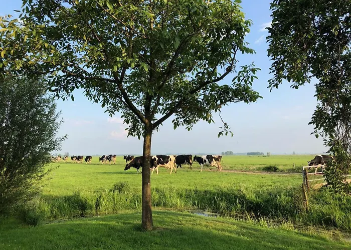 Slapen Op Het Platteland 3* ボーデグラヴェン